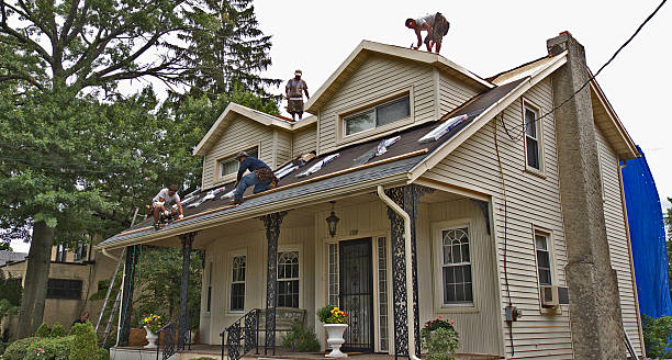 Best Roof Gutter Cleaning  in Overlea, MD