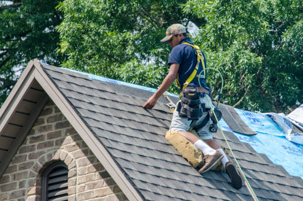 Best Roof Repair Services  in Overlea, MD